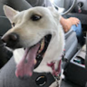 Meet your Posher, Cari